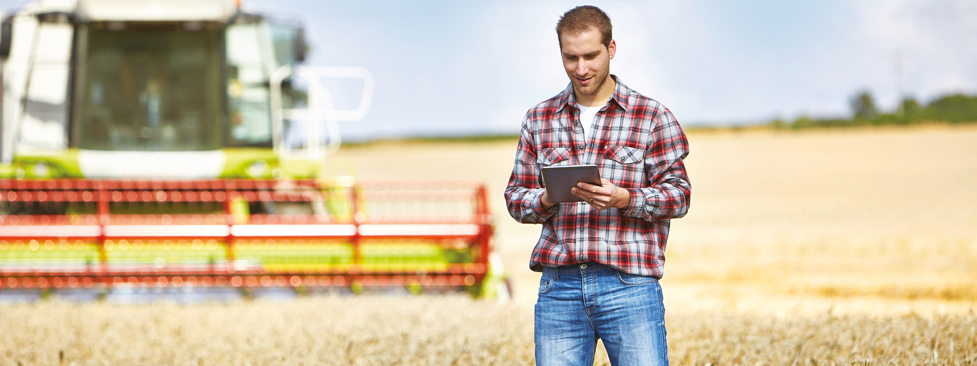 Techniques Agricoles Production Animale Et Grandes Cultures La Cite