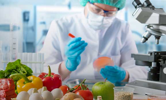 A person conducts laboratory research with various foods