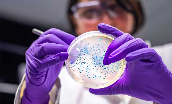 A researcher manipulates a sample in the laboratory