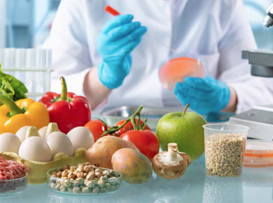 A person conducts laboratory research with various foods