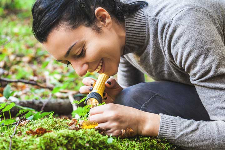 Techniques en environnement forestier