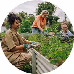 Group of people tending a community garden, with a facilitator at the front.