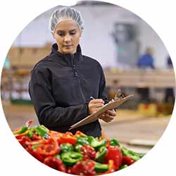 Shot of a focused young worker performing quality control in a vegetable processing plant