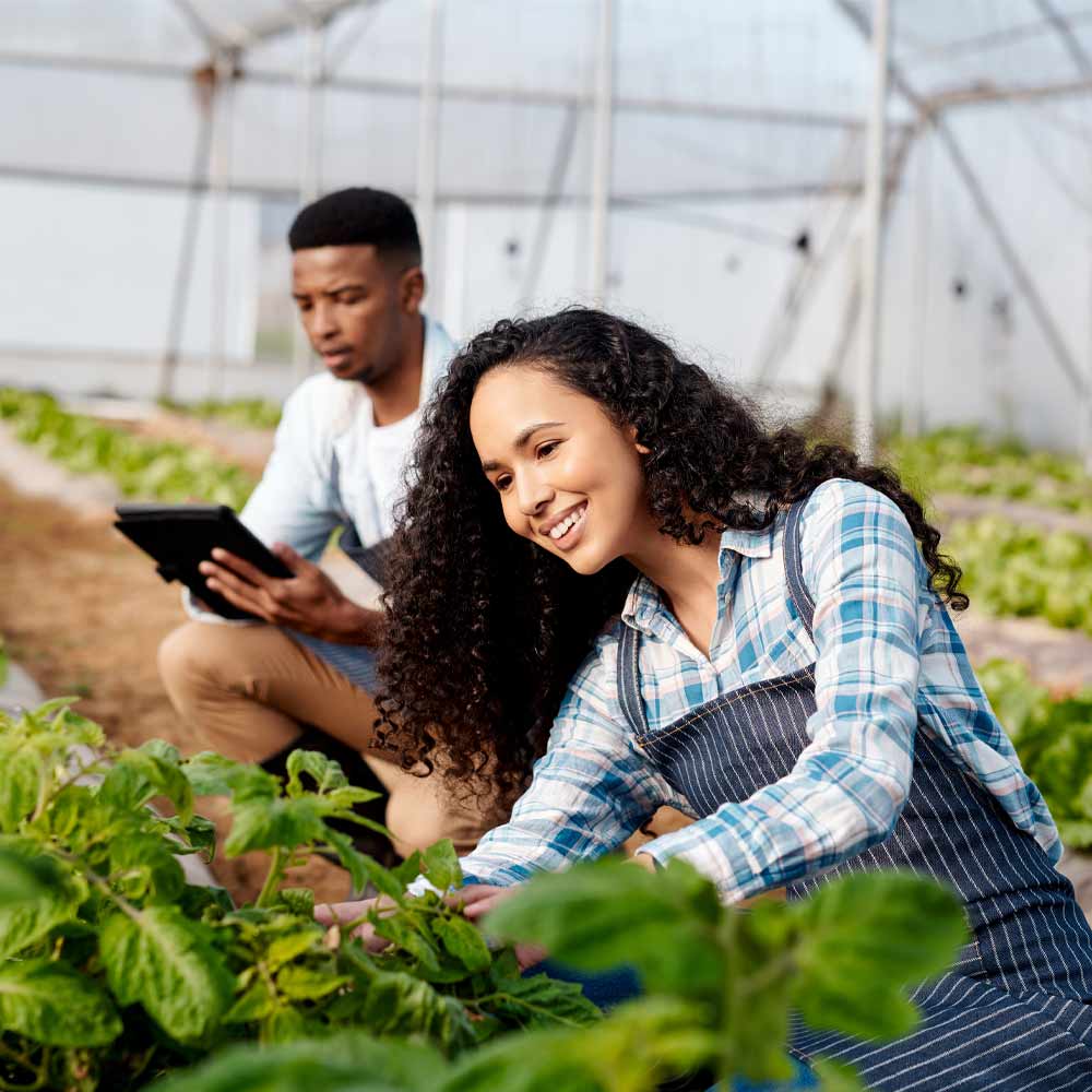 Gardening staff, greenhouses and control plants, agricultural development planning and land sustainability