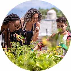 Groupe de jeunes apprenant le jardinage urbain auprès d'un assistant de projet en agriculture urbaine de réhabilitation.