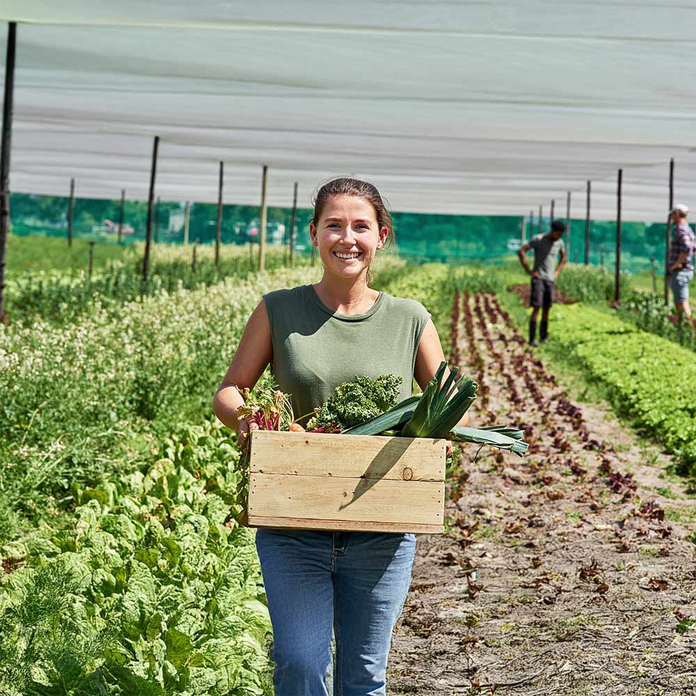 Portrait d'une jeune femme portant une caisse pleine de légumes à l'extérieur dans une ferme