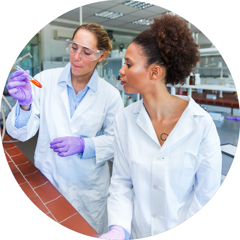 De jeunes scientifiques travaillant dans un laboratoire de chimie