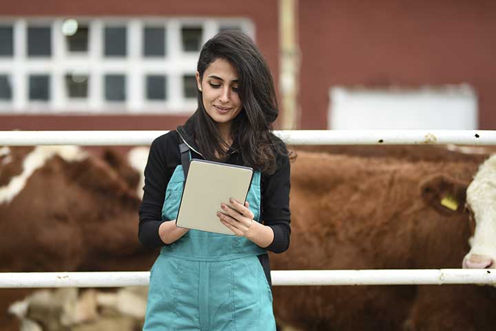 Techniques agricoles – production animale et grandes cultures en mode coopératif