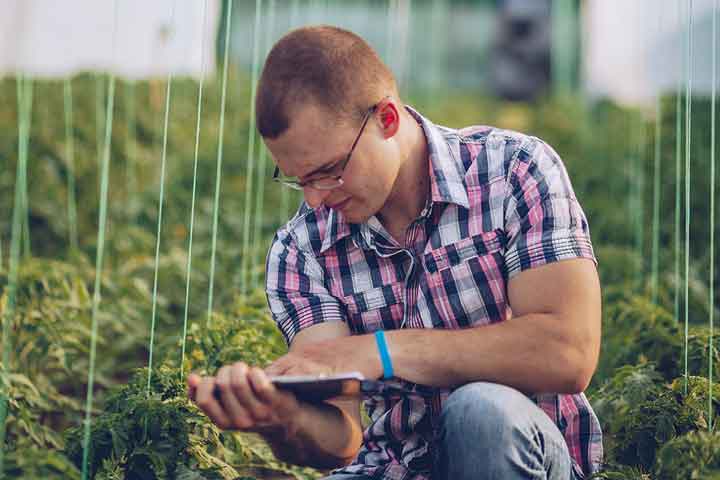 Techniques agricoles – production de fruits et légumes