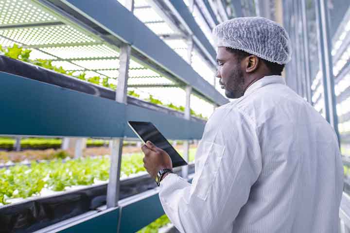 Techniques agricoles – production de fruits et légumes en mode coopératif