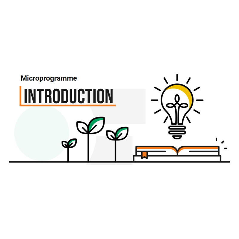 L'image est un graphique représentant la section « Introduction » d'un microprogramme. Elle met en scène des éléments tels que des pousses, une ampoule et un livre ouvert, symbolisant l'apprentissage et la connaissance.