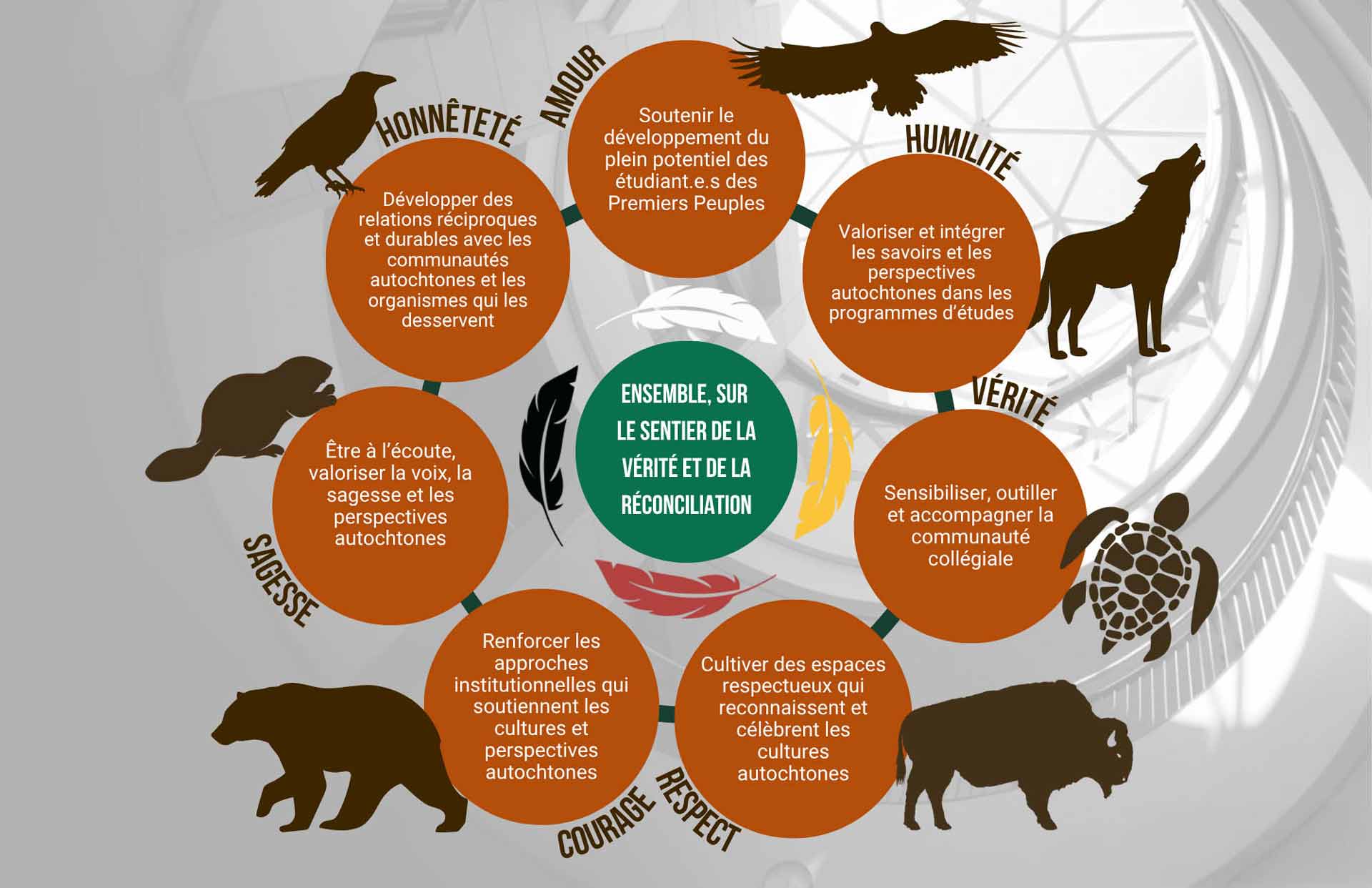 L’image présente un cercle d’engagements inspirés des enseignements et valeurs autochtones, chacun associé à un animal emblématique (corbeau, aigle, loup, tortue, bison, ours, castor). Au centre, un cercle vert porte le message « Ensemble, sur le sentier de la vérité et de la réconciliation ». Autour, des cercles orange décrivent des actions institutionnelles pour soutenir les peuples autochtones, valoriser leurs savoirs, renforcer les relations et créer des espaces respectueux.