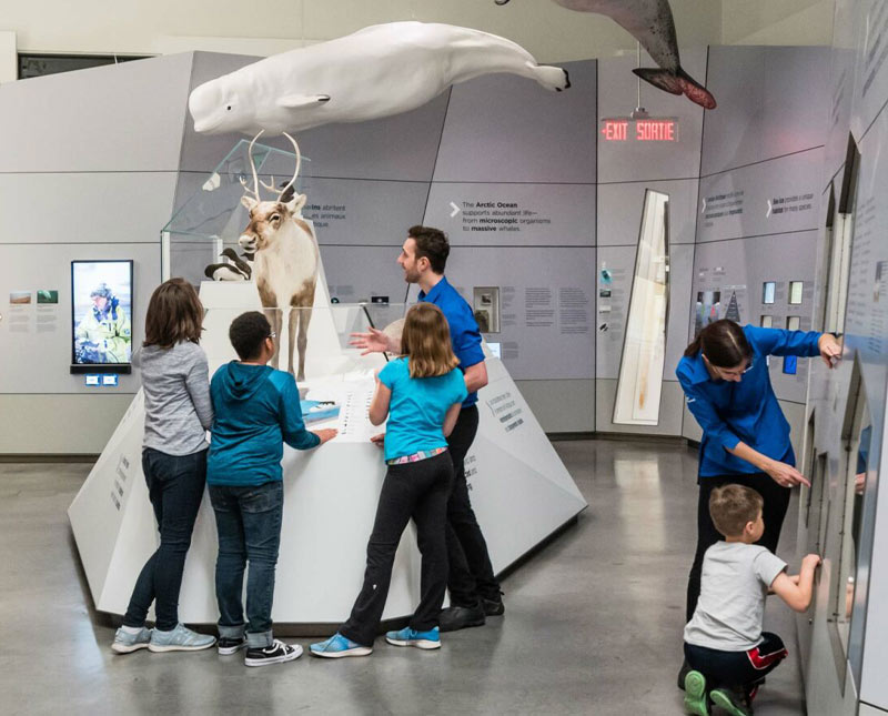 Children and staff viewing exhibits at an Arctic museum.