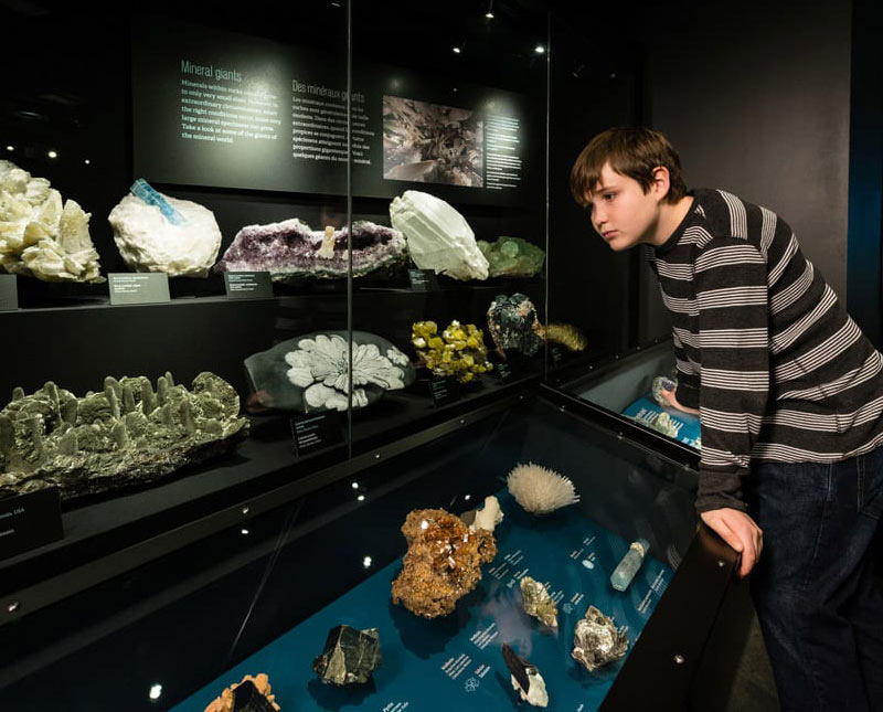 Un garçon se penche devant une vitrine de musée remplie de minéraux et de cristaux. Les spécimens sont disposés sur plusieurs étagères avec des étiquettes descriptives.