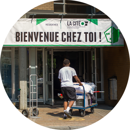 L'image montre un jeune homme qui tire un chariot rempli de biens vers l'entrée d'une résidence universitaire. Au-dessus de l'entrée, une grande banderole annonce «Bienvenue chez toi !», et elle porte également le nom et le logo de «La Cité», un collège d'arts appliqués et de technologie.